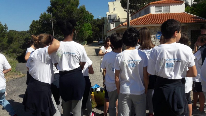 Voluntariado Jovem